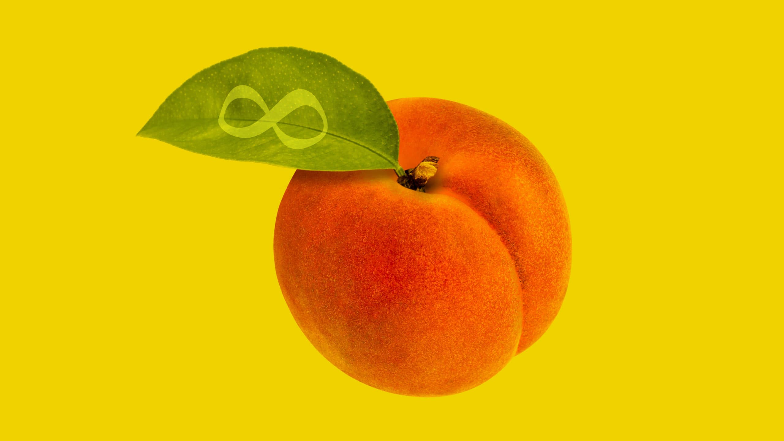 The Astroholic Explains S04E01 – The Booty Blaster And The Quest For An Everlasting Message